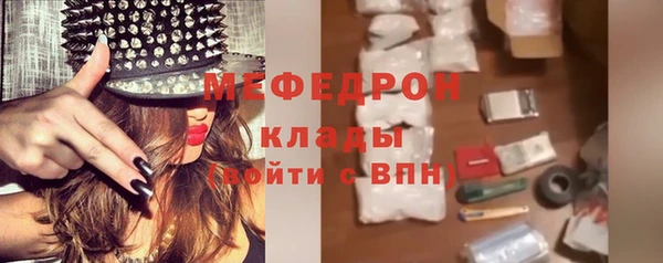 индика Абаза