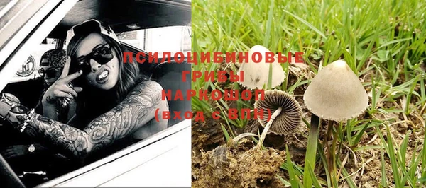 эйфоретик Алзамай