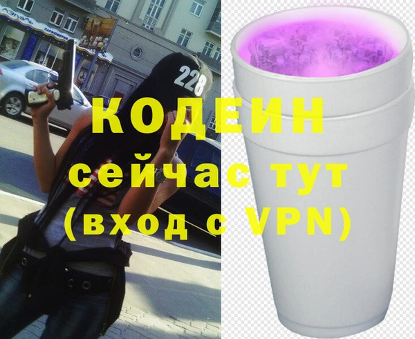 индика Абаза
