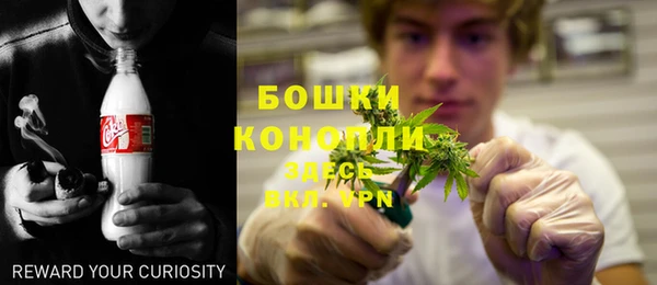 PSILOCYBIN Алексеевка