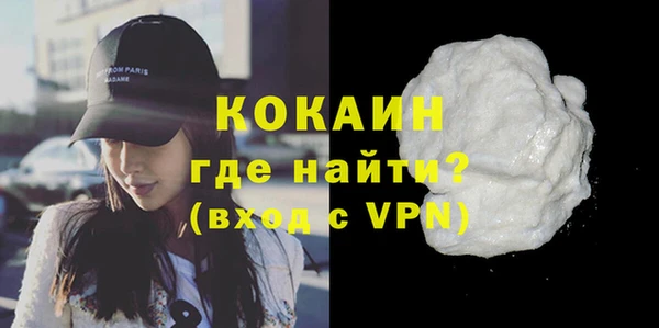 индика Абаза