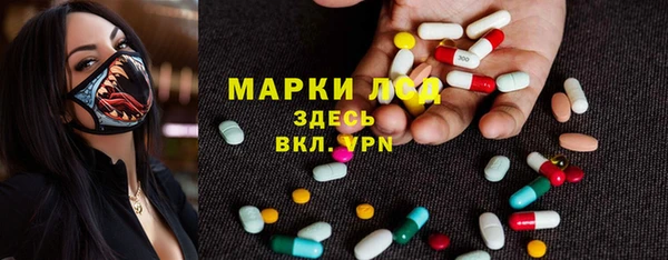 индика Абаза