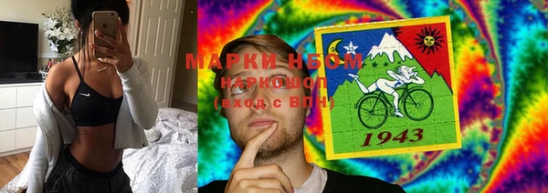 эйфоретик Алзамай