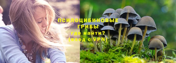 трава Абинск