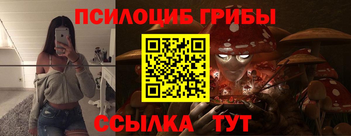 Псилоцибиновые грибы MAGIC MUSHROOMS  Вход с VPN  Приморско-Ахтарск 